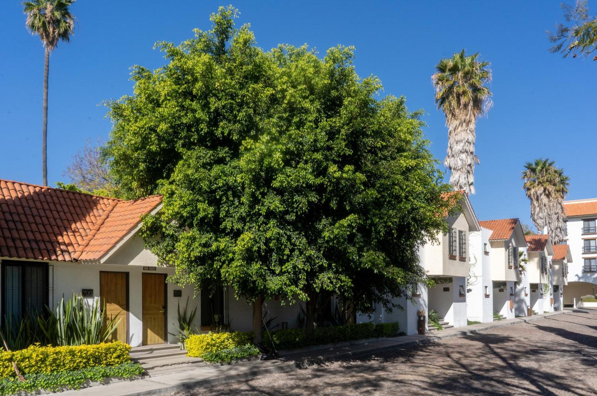 Hotel Flamingo Inn Querétaro Eksteriør bilde